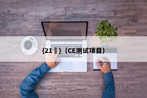 {21點}(CE测试项目)