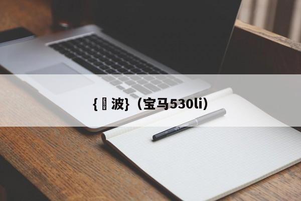 {賭波}(宝马530li)
